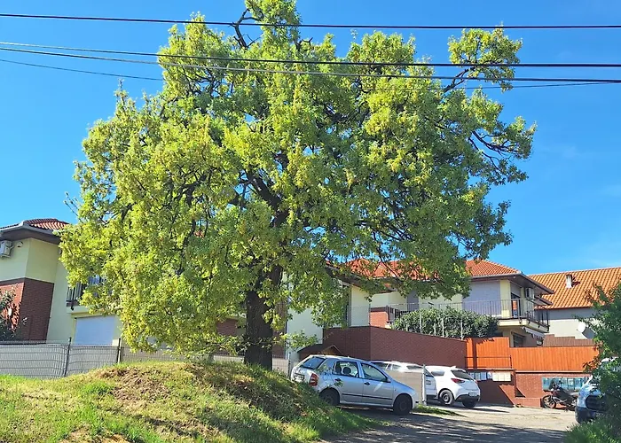 Makra-Teto Oeregtoelgy Apartman